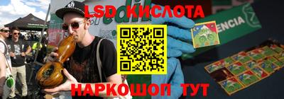 спиды Бердск