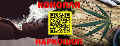 спиды Бердск