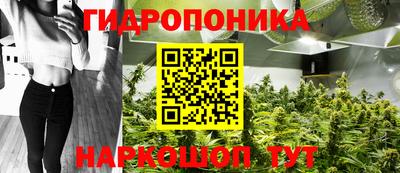 спиды Бердск