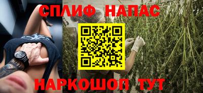 спиды Бердск