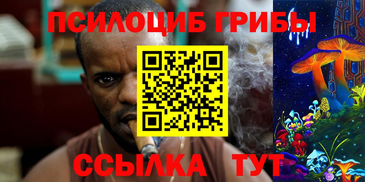 Галлюциногенные грибы Psilocybine cubensis Владивосток