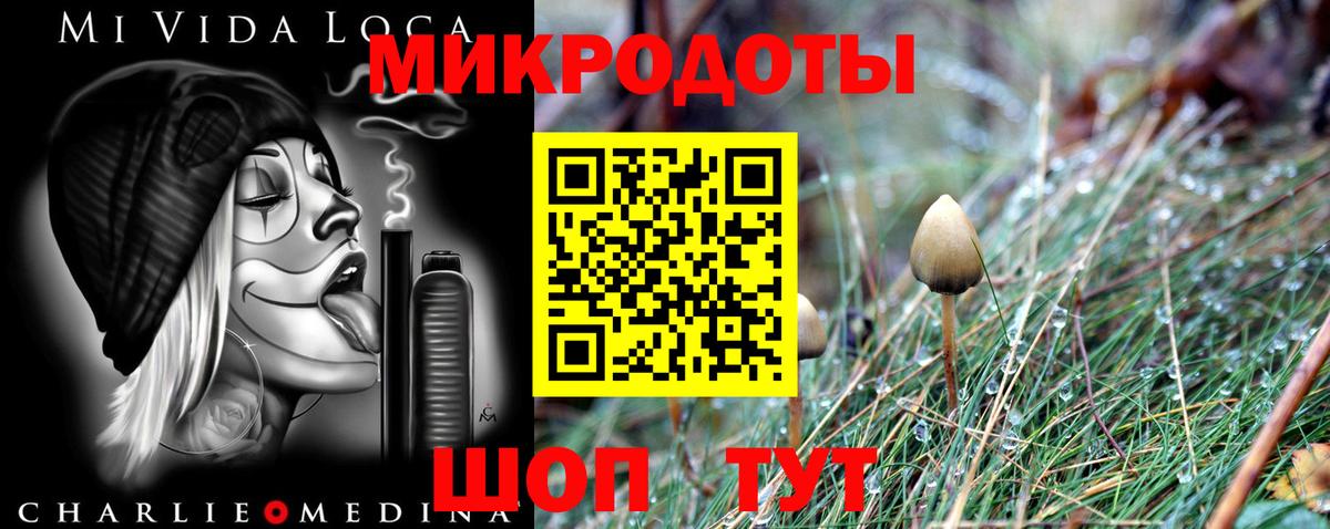 Владивосток  Галлюциногенные грибы мицелий  где купить наркотик  Вход с VPN 