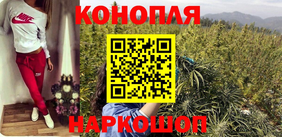 Бошки Шишки тримм  Шишки марихуана планчик  МАРИХУАНА конопля  Вход с VPN  Канабис Ganja  Владивосток 